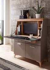 Sekretär Schreibtisch SECRET Basalt mit Eiche Altholz abgesetzt