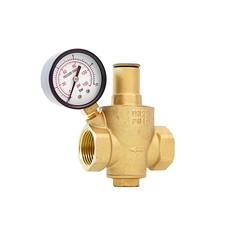 Druckminderer einstellbar 1"