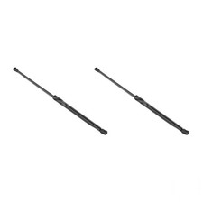 Gasfedern-Set Heckklappe 485mm