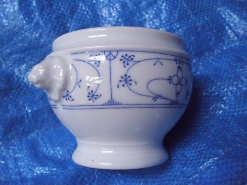 Indisch blau winterling - indisch, "winterling"