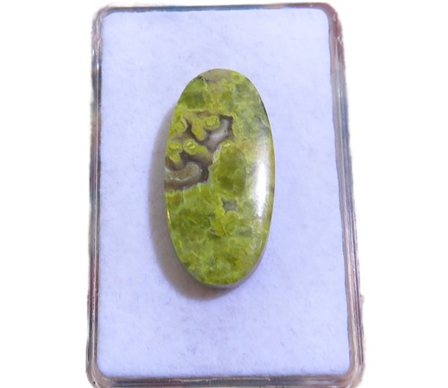 Grüner opal cabochon - grüner,