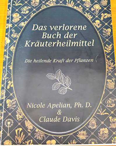 Das verlorene buch der - verlorene,