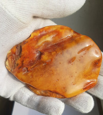 Roh Bernstein real Amber