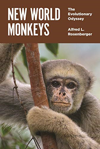 New world monkeys the - world,