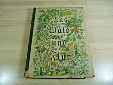Walter Nöldner: Aus Wald und