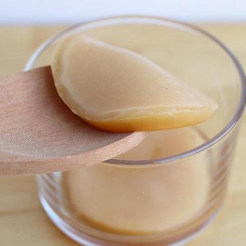 Original kombucha teepilz - kombucha,