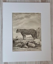 1767 Lithographie Kunstdruck