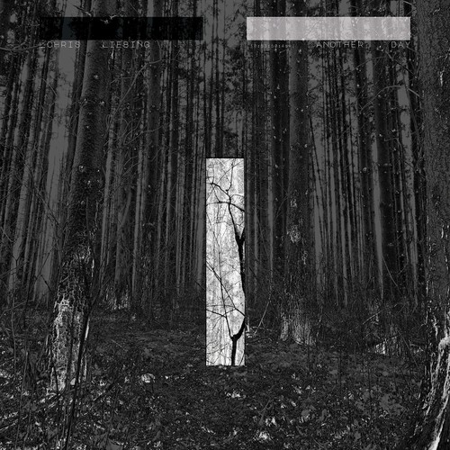 Liebing chris another day - -,