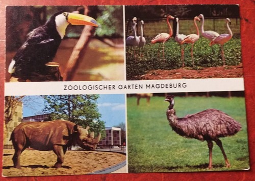 Tukan emu nashorn - nashorn, zoo