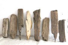 Schwemmholz Treibholz 8