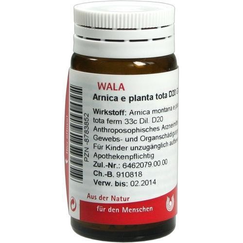 Arnica planta tota 20 - e, d