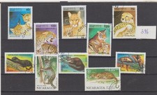 Raubkatzen (396) Ozelot Puma Panther Löwen Tiger