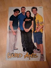 Poster Guano Apes - A*Teens