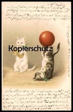 ALTE POSTKARTE KATZEN KATZE ZIRKUSARTIST ZIRKUS circus cirque cat cats chat chat