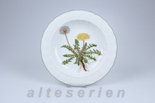 Suppenteller Eschenbach Bayreuth Botanica