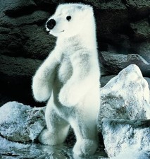 White Polar Bear 'Udo' by