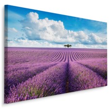 CANVAS Leinwand Bilder XXL