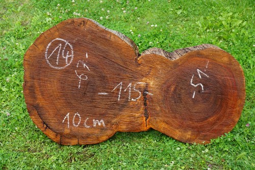 Baumscheibe xxl holzscheibe - baumscheibe,