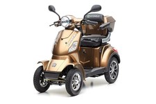 Elektro Quad ECONELO J4000