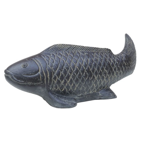 Karpfen koi fisch - fisch,, 60
