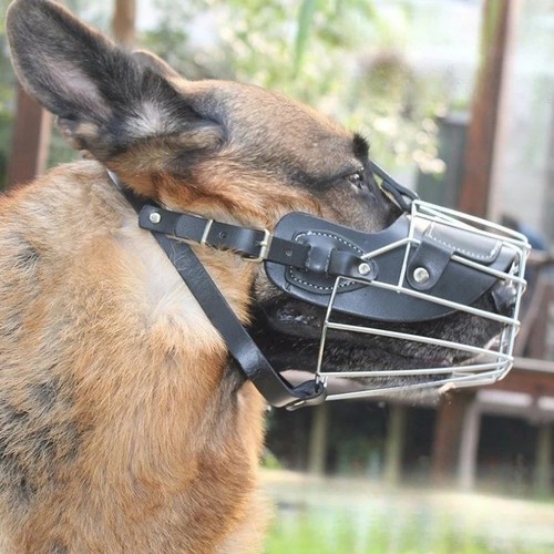 Hundemaulkorb metall beißkorb - hundemaulkorb,