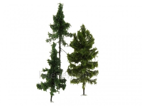 Hünerbein natur nadelbäume - natur,