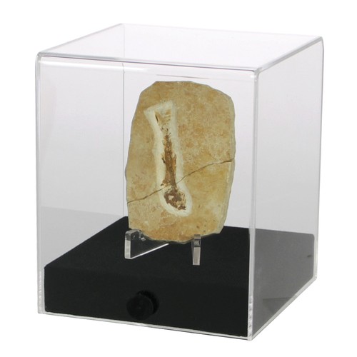 Acryl vitrine schaukasten cube - vitrine,