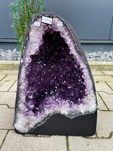 Amethyst druse geode - druse,