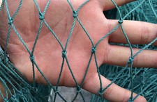 Hundezaun Hasenzaun Hasennetz