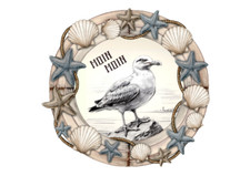 Möwe/Muschel Maritim