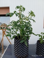 1X Superroot Air Root Pot 28,5l + 2 Ersatzschrauben Grow Blumentopf Pflanzsack