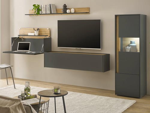 Wohnwand wohnzimmer - wohnwand,