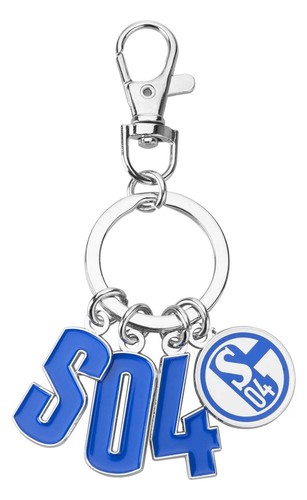 Schalke 04 - fc,