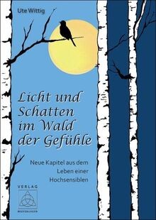 Licht und schatten - schatten, wald