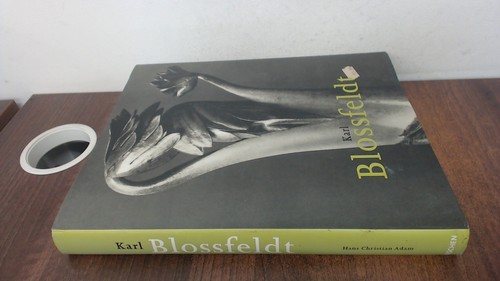 Karl blossfeldt fo - karl,