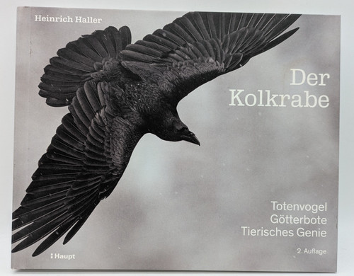 Der kolkrabe totenvogel - kolkrabe,,