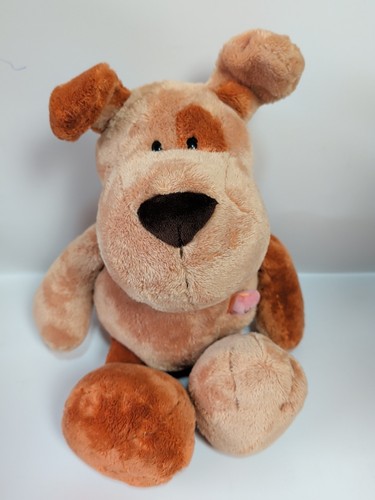 Nici hund mutt mischling - nici, mit