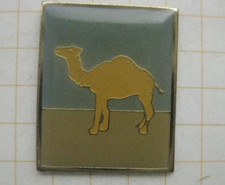 CAMEL