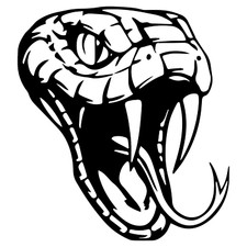 19 cm x 20,5 cm Snake Schlange