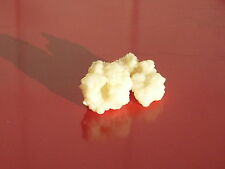 Kontrollierter Lebensmittelbetrieb 8 gr Milchkefir Kefir Kefirpilz für 500ml
