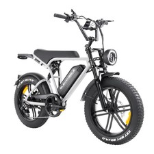 E6 2.0 Elektrofahrrad 750W Max