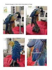 Porzellan Papagei , ca 50cm