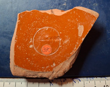 Terra Sigillata mit
