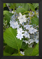 Auf dem Weg der Philosophen