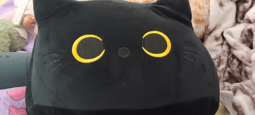 Schwarze katze kopf - kopf, gelbe