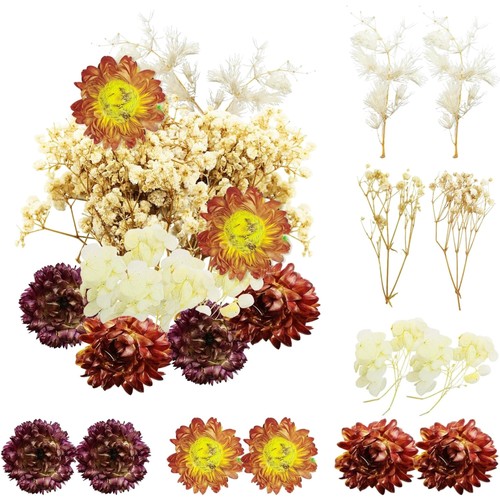 Natürliche trockenblumen set - natürliche,