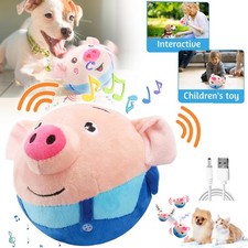 Interaktives Hundespielzeug