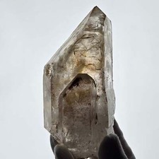 Lemurian Phantom Skelett