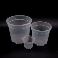 Transparenter Pflanztopf