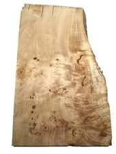 1x Pappel Maser Mapa Baumscheibe 88x46-54cm x 58-61mm